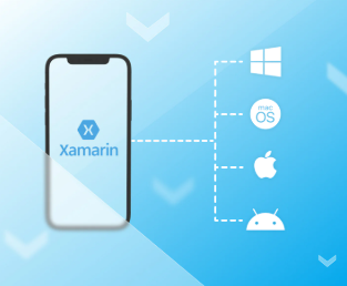 Xamarin App Development